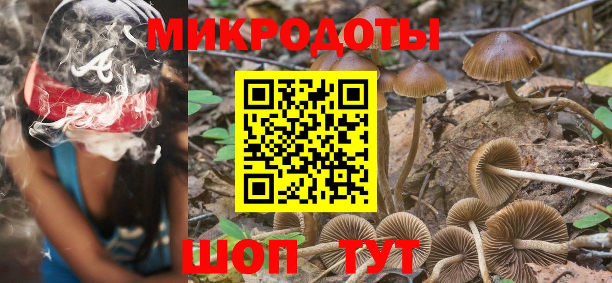 Галлюциногенные грибы Psilocybe Ишимбай